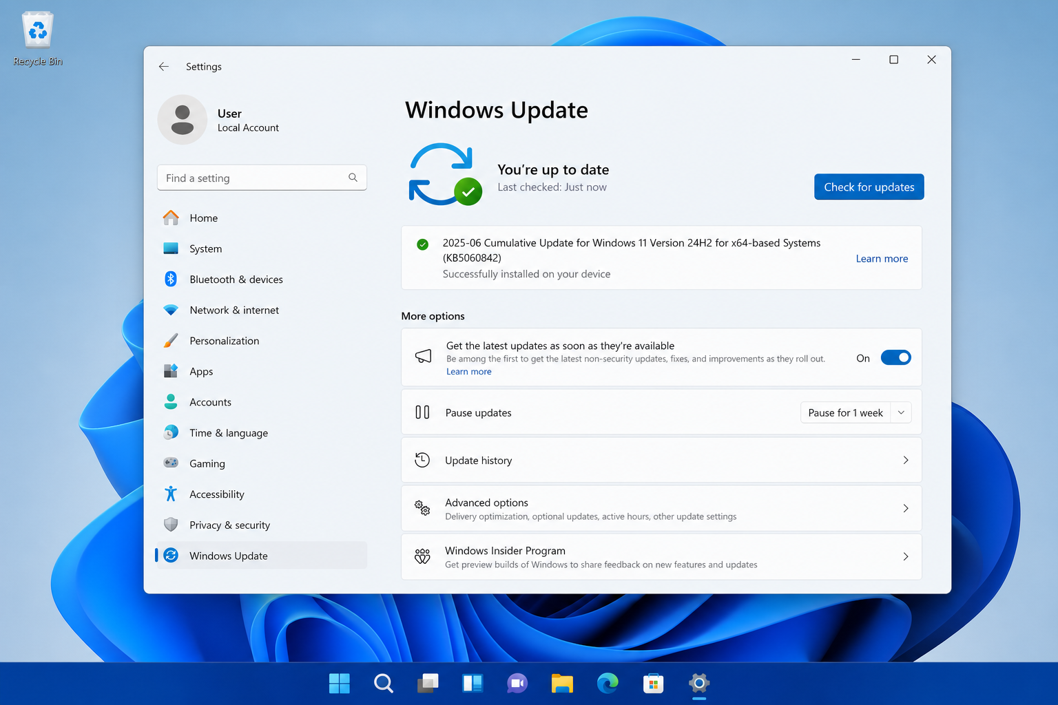 Windows 11 June update KB5060842 installed successfully on a modern desktop
