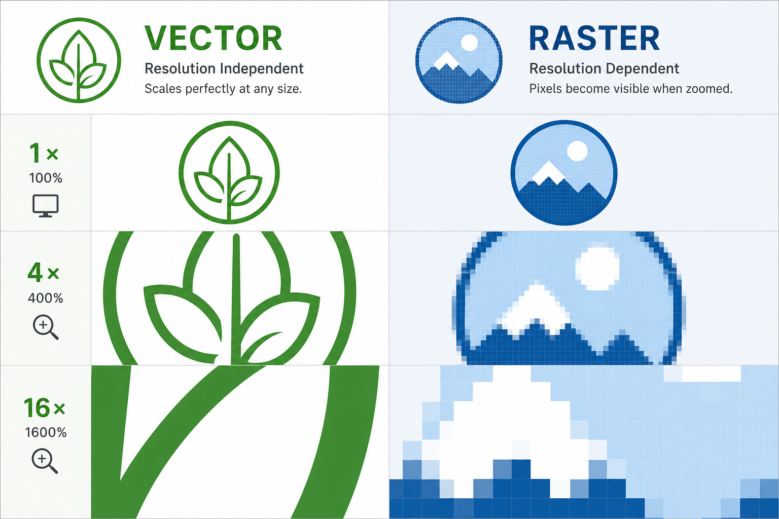 Comparison of vector shapes and raster images for new designers